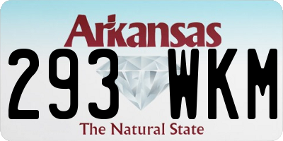 AR license plate 293WKM
