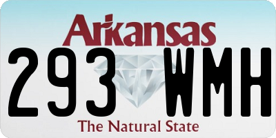 AR license plate 293WMH
