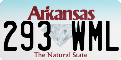 AR license plate 293WML