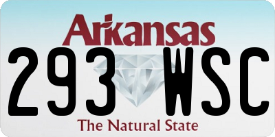 AR license plate 293WSC