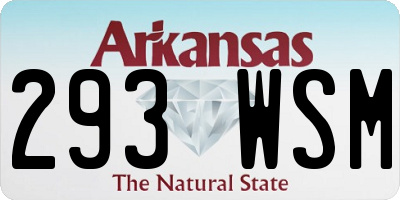 AR license plate 293WSM