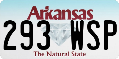 AR license plate 293WSP