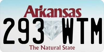 AR license plate 293WTM