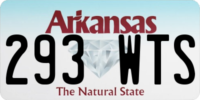 AR license plate 293WTS