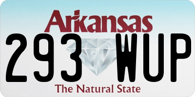 AR license plate 293WUP