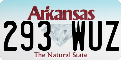 AR license plate 293WUZ