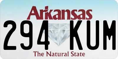 AR license plate 294KUM