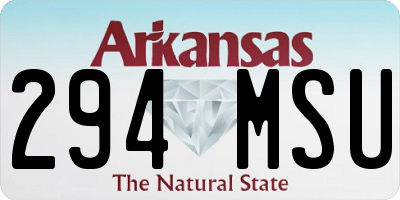 AR license plate 294MSU