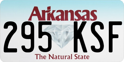 AR license plate 295KSF