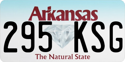AR license plate 295KSG