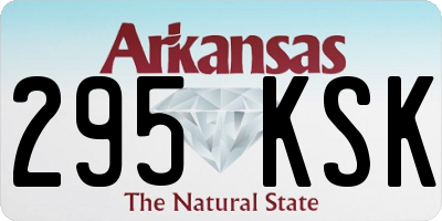 AR license plate 295KSK