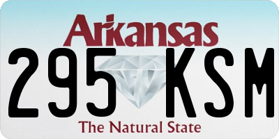 AR license plate 295KSM