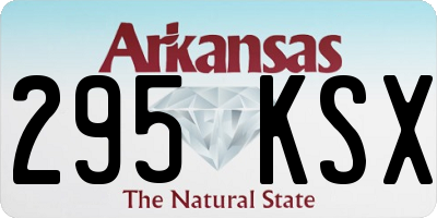 AR license plate 295KSX