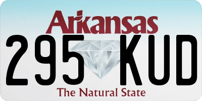 AR license plate 295KUD