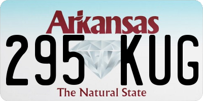 AR license plate 295KUG