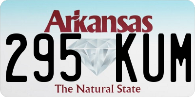 AR license plate 295KUM