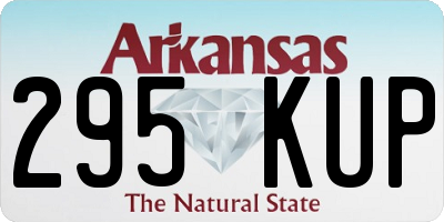 AR license plate 295KUP