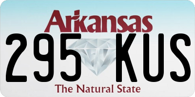 AR license plate 295KUS