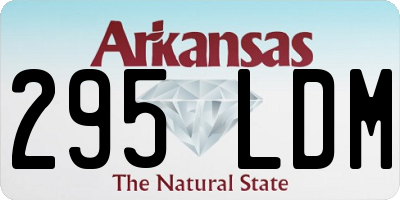 AR license plate 295LDM