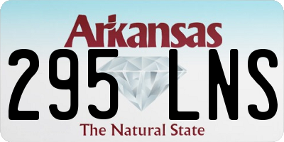 AR license plate 295LNS