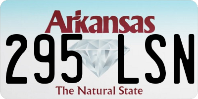 AR license plate 295LSN