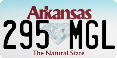 AR license plate 295MGL