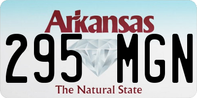 AR license plate 295MGN