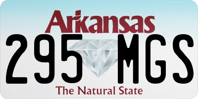 AR license plate 295MGS