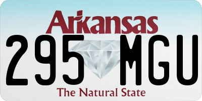 AR license plate 295MGU