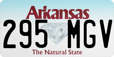 AR license plate 295MGV