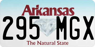 AR license plate 295MGX