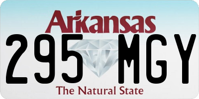 AR license plate 295MGY
