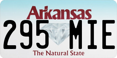 AR license plate 295MIE