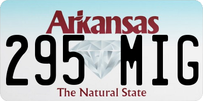 AR license plate 295MIG