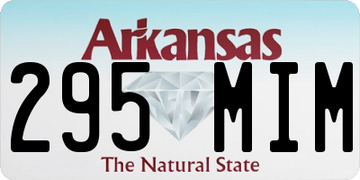 AR license plate 295MIM
