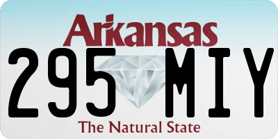AR license plate 295MIY