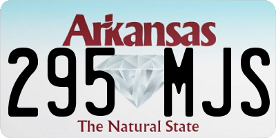 AR license plate 295MJS