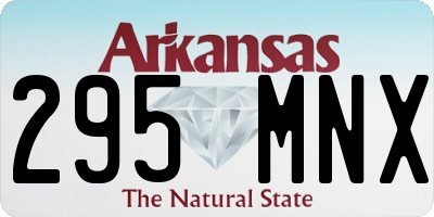 AR license plate 295MNX