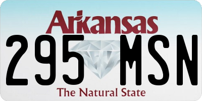 AR license plate 295MSN