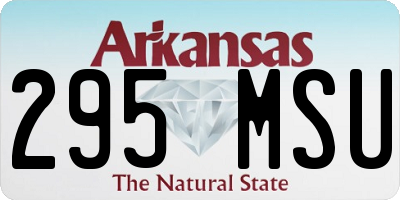 AR license plate 295MSU