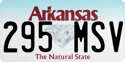 AR license plate 295MSV