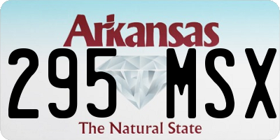 AR license plate 295MSX