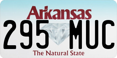 AR license plate 295MUC