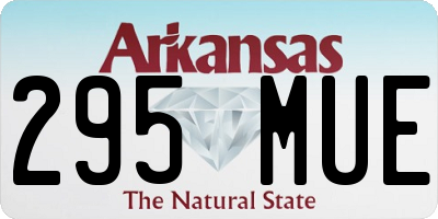 AR license plate 295MUE