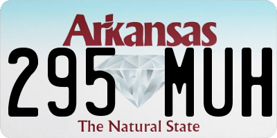 AR license plate 295MUH