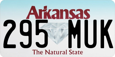 AR license plate 295MUK