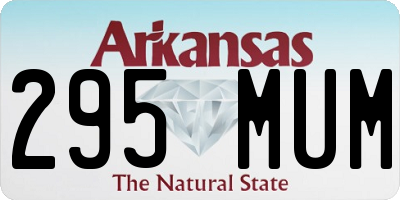 AR license plate 295MUM