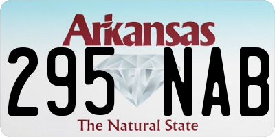 AR license plate 295NAB