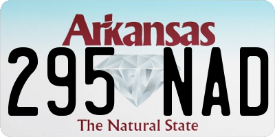 AR license plate 295NAD