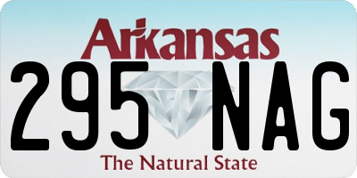 AR license plate 295NAG